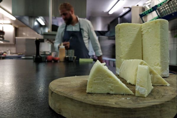 Le persillé de Tignes est un produit typique de la Tarentaise.