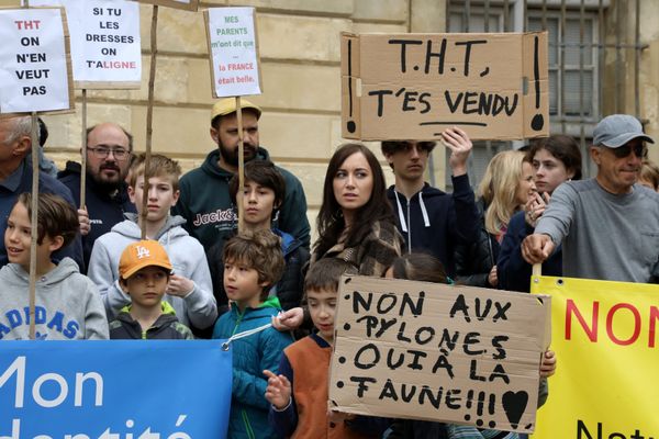 Manifestation à Arles contre le projet de ligne électrique très haute tension le 7 avril 2024
