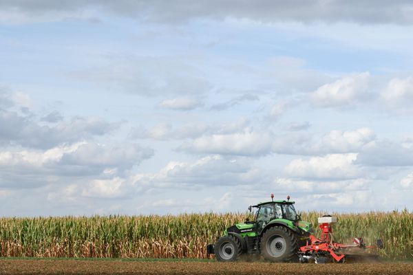 Une guerre pour les terres agricoles a lieu en Bretagne. Les agriculteurs se battent pour permettre à des jeunes de s'installer et à l'agriculture biologique de se développer.