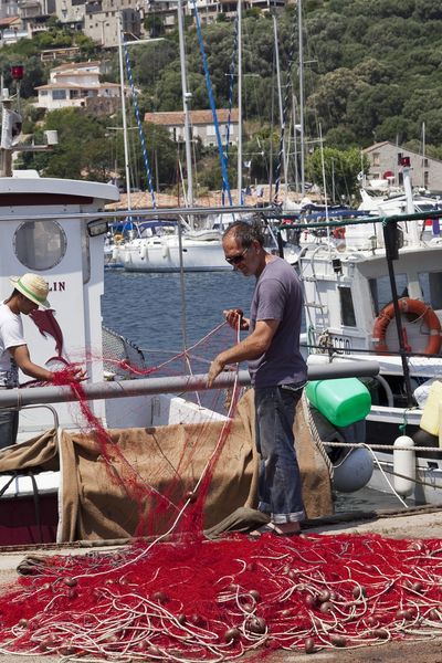 Pêcheurs à Porto-Vecchio, en Corse-du-Sud.