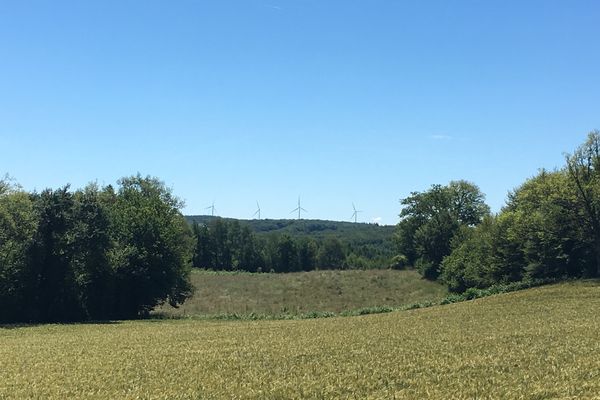 L'implantation envisagée de 4 éoliennes fait polémique à Siran, dans le Cantal. En photo, celles d'une commune proche, Saint-Saury. 