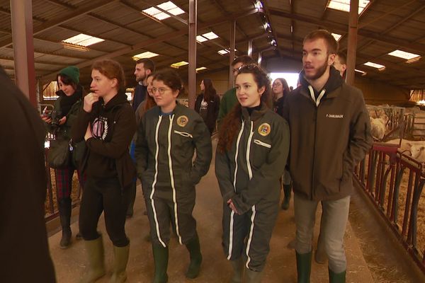 Un groupe d'étudiants vétérinaires en visite dans une ferme du Morvan