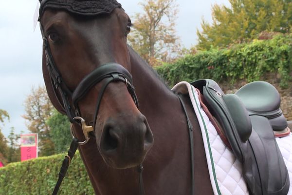 La grande semaine de Pompadour se déroule jusqu’au dimanche 12 septembre 2021 en Corrèze