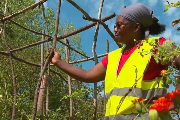 Naïnmi récolte les légumes du jardin et s'occupe du potager