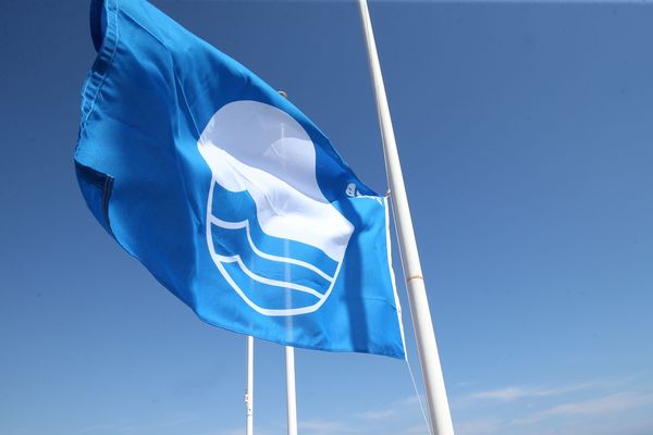 Un drapeau indiquant une plage pavillon bleu à Nice.