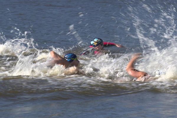 La nage en eau libre, une discipline qui fait de plus en plus d'adeptes