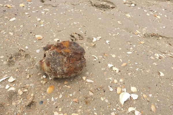 Les grenades ont été détruites par les démineurs sans faire d'incident