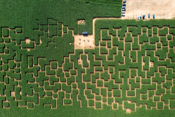 Le parc Pop Corn labyrinthe s'est installé dans un champs de cinq hectares, à Saint-Fuscien, au sud d'Amiens.