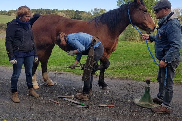 J'ai testé pour vous le métier de maréchal-ferrant. Pour cela, j'ai été l'assistante d' Anastasia Chauvet dans son travail de tous les jours. 