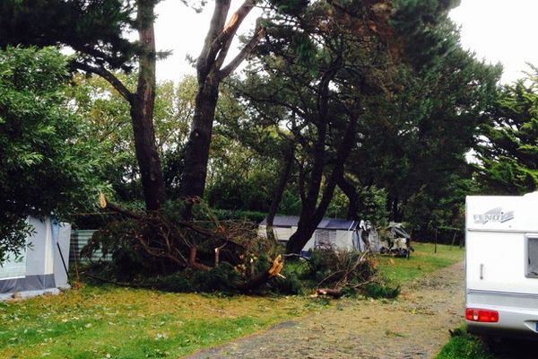 Des branches sont tombées au camping municipal de Cancale, évacué lundi