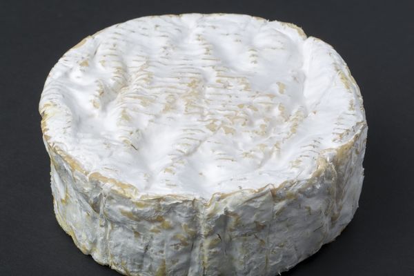 le Camembert bientôt râpé 