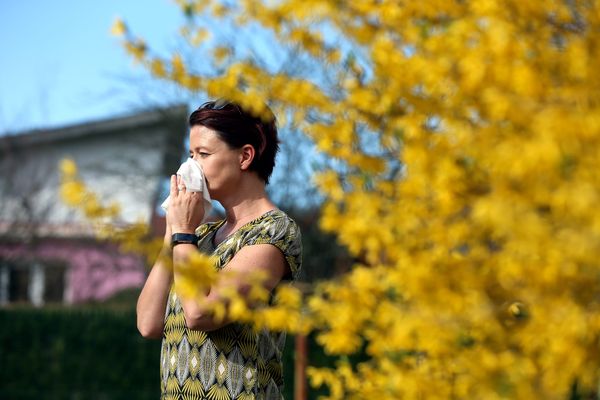 Alors que 71 départements ont été placés en vigilance rouge concernant les allergies aux pollens de graminés dont le Rhône, France 3 Rhône-Alpes a compilé quelques conseils pour permettre aux allergiques de respirer (un peu) mieux.