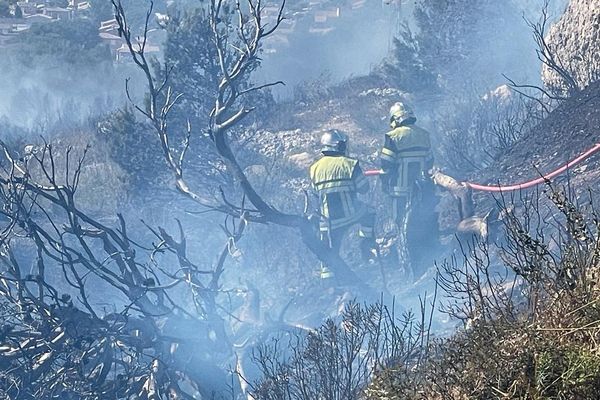 Le feu a été fixé à Vitrolles vers 18 heures.