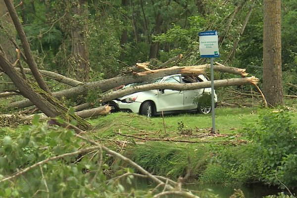 La tempête de vendredi a fait d'importants dégâts, qu'il s'agit désormais de déblayer.