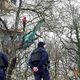 Les gendarmes tentent de déloger les "écureuils" sur le principal site occupé, celui de la Crem'arbre.