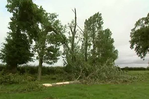 De nombreux arbres de la commune ont été cassés sous l'effet des rafales de vent.