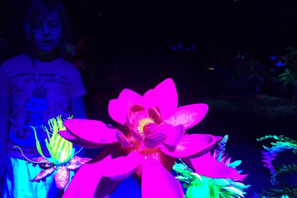 Une enfant devant une pièce de l'exposition Supernature à la Gaîté Lyrique (Paris 3e).