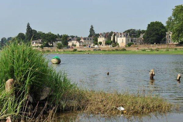 La confluence de la Maine et de la la Loire