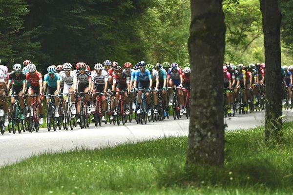 Le peloton lors de la deuxième étape de la 70e édition du Critérium du Dauphine, entre Montbrison et Belleville, le 5 juin 2018.