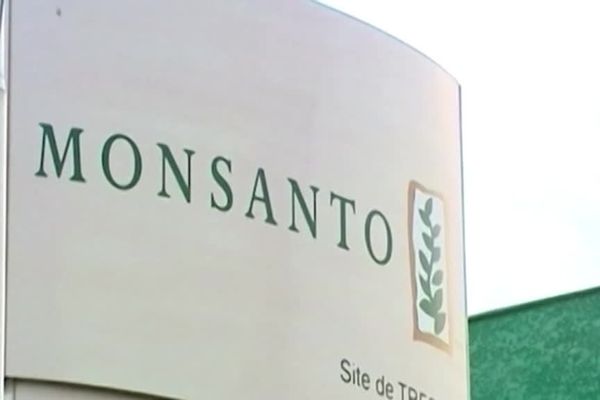 Monsanto a été condamné à verser la somme record de 290 millions de dollars à un jardinier qui a utilisé son produit à base de glyphosate. 