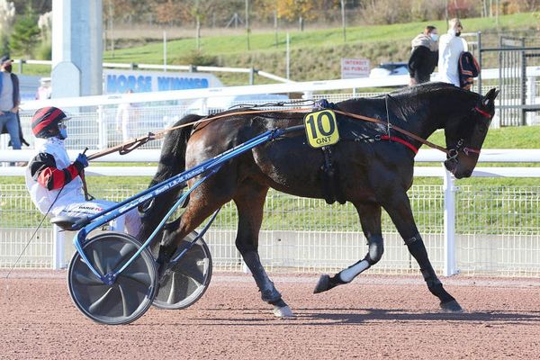 16 trotteurs et drivers seront au départ de l'anneau toulousain ce mercredi. 