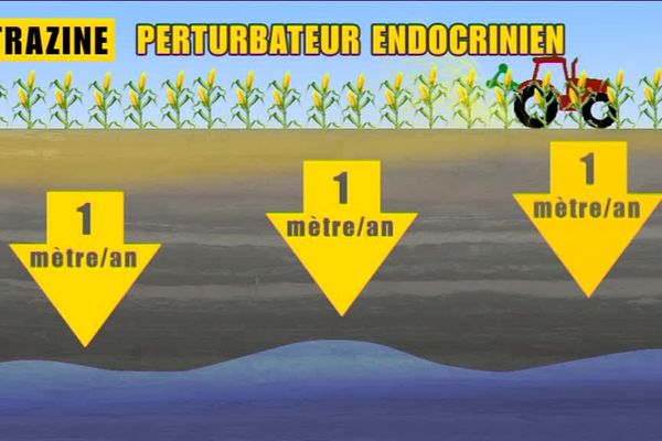 Le cycle de pollution par les résidus de traitement des champs.