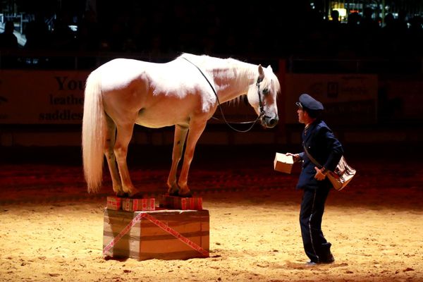 La poésie et l'humour sont au centre du spectacle équestre de la compagnie Andjaï.