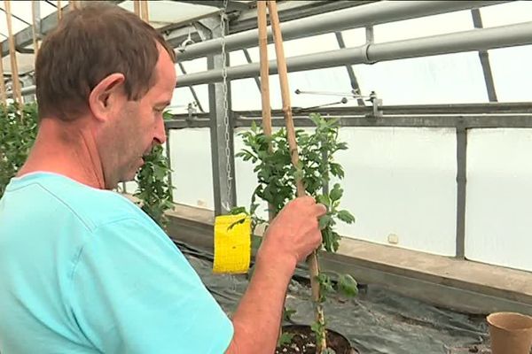 Les jardiniers municipaux en pleine préparation