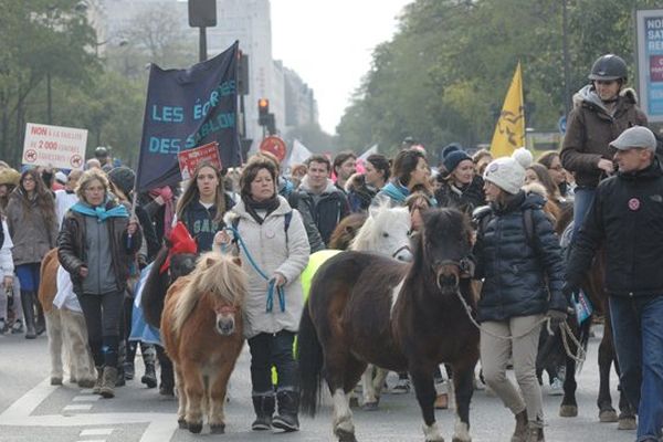 Manifestation du monde équestre à Paris le 24 novembre 2013.