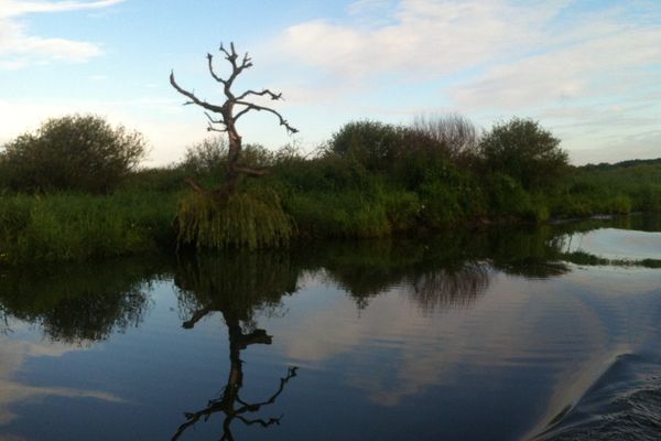 Reflets sur la lac de Grand Lieu en bordure du Pays de Retz