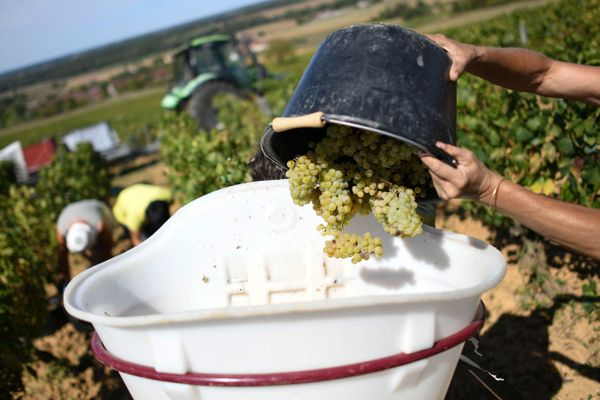 Le domaine Ganevat a été vendu au russe Alexander Pumpyansky en septembre 2021, avant que ce dernier ne le revende en mars 2022, alors visé par les sanctions européennes liées à la guerre en Ukraine.