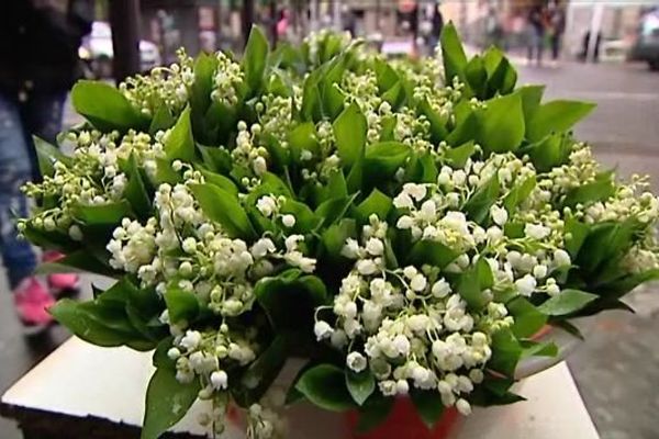 Des brins de muguet en vente à Paris.