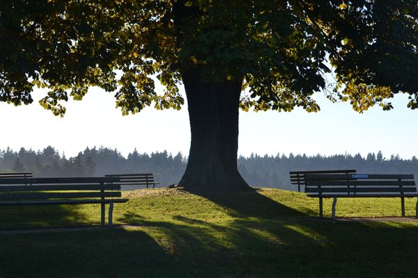 Pause fraîcheur