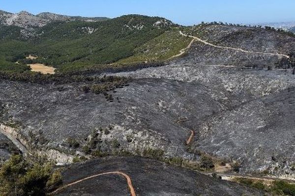 Les pompiers du 13 veulent sensibiliser la population sur les risques sévères de feux de forêt à partir d'aujourd'hui et tout le week-end.