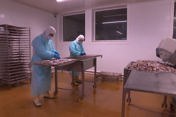 Des filets de haddock Bourgain et Fils ont été rappelés après la découverte de traces de listeria