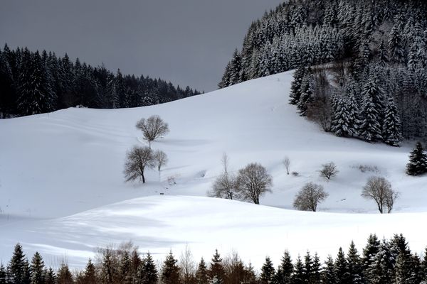 Un épisode neigeux impacte les reliefs de Franche-Comté à partir de ce dimanche 22 décembre et au moins jusqu’à lundi soir.