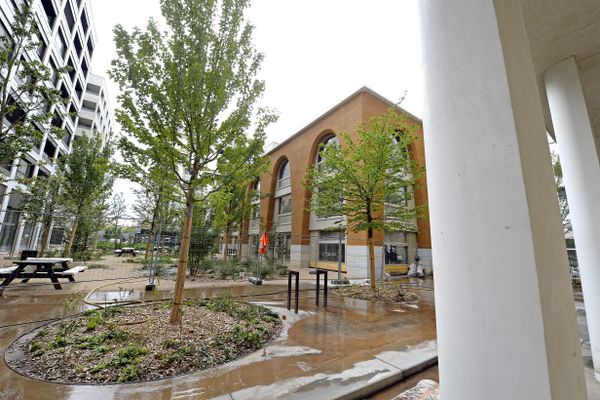 <p>Dans le quartier de la Confluence à Lyon, on fait pousser des arbres et on cultive de la terre.</p>