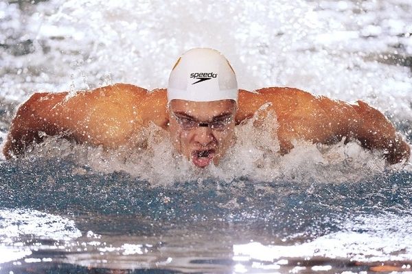 Florent Manaudou - photo Alain Jocard Afp