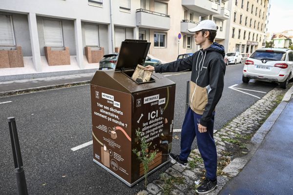 Écologie : tous les foyers français devront-ils vraiment avoir un bac à  compost en 2024 ?