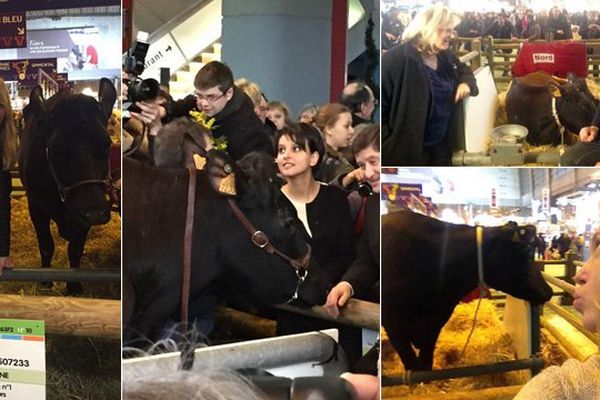 Filouse, star des selfies au salon de l'agriculture 2015.