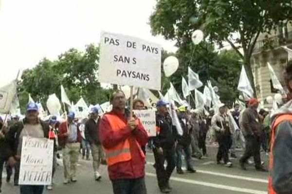 Des milliers d'agriculteurs ont manifesté dimanche à Paris