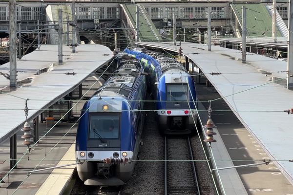 D'importants retards de train TER sont observés ce lundi 25 novembre 2024, la faute aux feuilles mortes "qui tombent sur les rails".