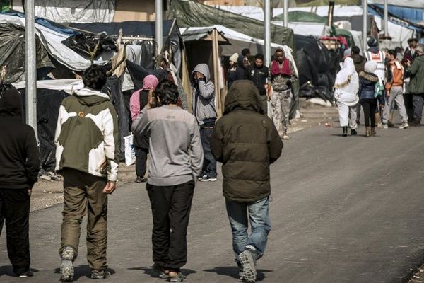 Combien de migrants dans la "Jungle" de Calais ?