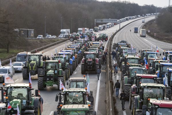 La maifestation est prévue ce dimanche.