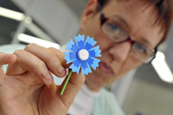 Le Bleuet de France, symbole de la mémoire combattante, qui ornera les boutonnières à l'occasion des commémorations du 11 novembre est en partie fabriqué à Creuzier-le-Neuf, dans l'Allier, par des travailleurs handicapés.