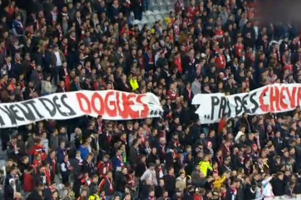 "On veut des Dogues, pas de chèvres". Une banderole déployée lors du match LOSC-Lyon, ce vendredi 18 novembre 2016.