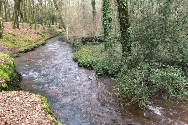 Vallée de l'Aff à Brocéliande