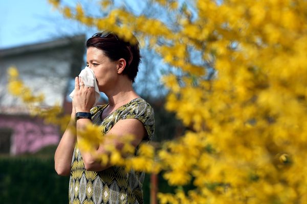 En ce début du mois de mai,le risque d'allergies aux pollens est très élevé dans les 3/4 du pays y compris dans l'Indre, l'Indre-et-Loire, le Cher et l'Eure-et-Loir