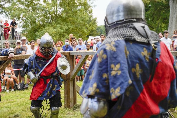 Le Béhourd, sport de combat médiéval, dispose d'une fédération et compte une trentaine de clubs en France