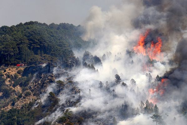 Archives 2009. Les incendies avaient ravagé 4.200 hectares.